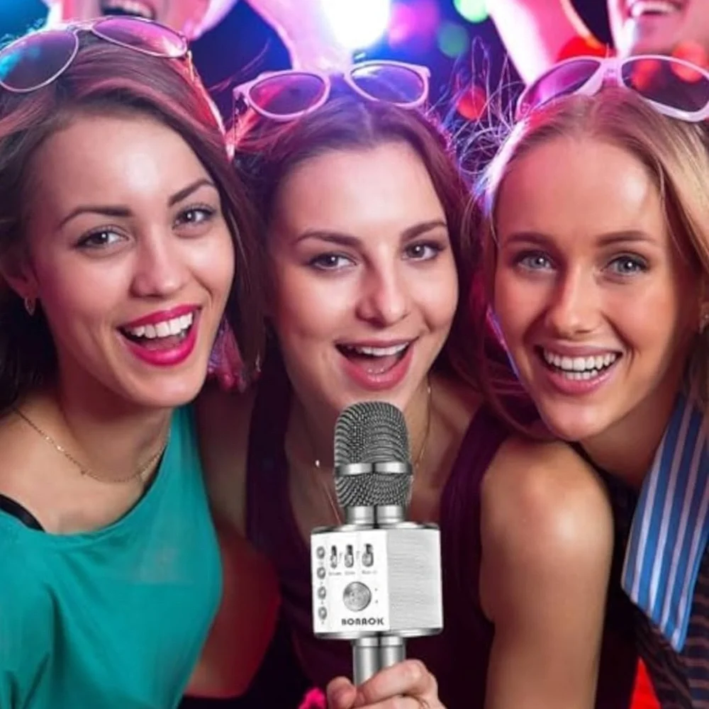 Bonaparte Silver Karaoke Microphone NEW